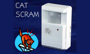 Catscram the best ultrasonic cat repellent for indoors