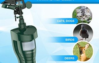 Hoont Cobra Upgraded Sprinkler Cat Repeller